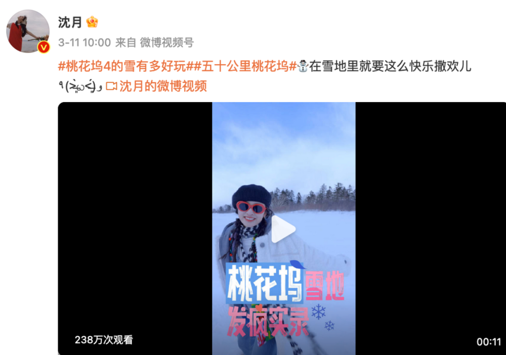 賭波：艺人小助理，“内娱活人”代言人？
